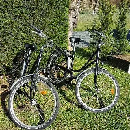 Campingplatz Mobilhome 2ch Climatise A La Palmyre